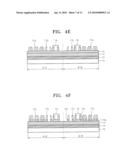 Nonvolatile Memory Devices Having Common Bit Line Structure diagram and image