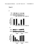 Treatment of Hepatitis C Infection With Metalloporphyrins diagram and image