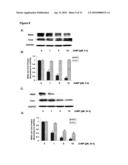 Treatment of Hepatitis C Infection With Metalloporphyrins diagram and image