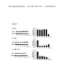 Treatment of Hepatitis C Infection With Metalloporphyrins diagram and image