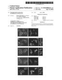 METHOD FOR GENERATING PLURIPOTENT STEM CELLS diagram and image