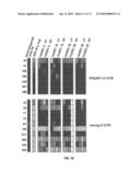 METHOD FOR GENERATING PLURIPOTENT STEM CELLS diagram and image