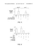 Compositions and Methods for Altering Pancreas or Liver Function diagram and image