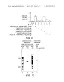 Compositions and Methods for Altering Pancreas or Liver Function diagram and image