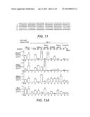 Compositions and Methods for Altering Pancreas or Liver Function diagram and image