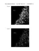 Pharmaceutical composition for tumor treatment diagram and image