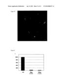 Pharmaceutical composition for tumor treatment diagram and image