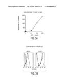 CHEMOKINES AS ADJUVANTS OF IMMUNE RESPONSE diagram and image