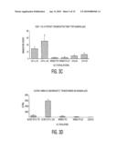 CHEMOKINES AS ADJUVANTS OF IMMUNE RESPONSE diagram and image