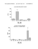 CHEMOKINES AS ADJUVANTS OF IMMUNE RESPONSE diagram and image