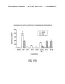 CHEMOKINES AS ADJUVANTS OF IMMUNE RESPONSE diagram and image