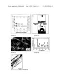 ABSORBANT SUPERHYDROPHOBIC MATERIALS, AND METHODS OF PREPARATION AND USE THEREOF diagram and image