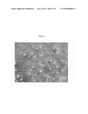 Active Agent Loaded Uniform, Rigid, Spherical, Nanoporous Calcium Phosphate Particles and Methods of Making and Using the Same diagram and image