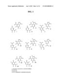 METHODS FOR THE DETECTION OF RESPIRATORY VIRUSES diagram and image