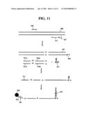 METHODS FOR THE DETECTION OF RESPIRATORY VIRUSES diagram and image