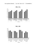 METHODS FOR THE DETECTION OF RESPIRATORY VIRUSES diagram and image