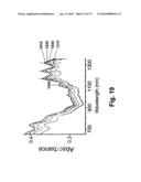 Surface-modified single-walled carbon nanotubes and methods of detecting a chemical compound using same diagram and image