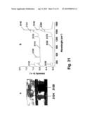 Surface-modified single-walled carbon nanotubes and methods of detecting a chemical compound using same diagram and image