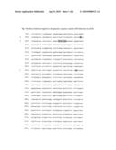 AZGP Gene Single Nucleotide Polymorphisms (SNPs) diagram and image