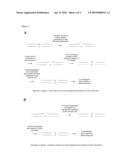 Methods of Identification Using Methylation of CPG diagram and image