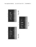 DETECTION OF ANALYTES diagram and image