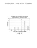 MHC CLASS I PEPTIDE EPITOPES FROM THE HUMAN 5T4 TUMOR-ASSOCIATED ANTIGEN diagram and image