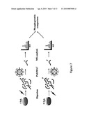 Materials and Methods for Isolating Phosphopeptides diagram and image