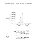 INDUCTION OF INNATE IMMUNITY BY VITAMIN D3 AND ITS ANALOGS diagram and image