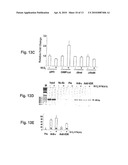 INDUCTION OF INNATE IMMUNITY BY VITAMIN D3 AND ITS ANALOGS diagram and image