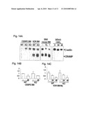 INDUCTION OF INNATE IMMUNITY BY VITAMIN D3 AND ITS ANALOGS diagram and image