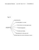 INDUCTION OF INNATE IMMUNITY BY VITAMIN D3 AND ITS ANALOGS diagram and image