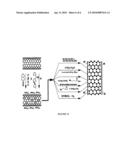 NUCLEOPHILIC SUBSTITUTION OF CARBON NANOTUBES diagram and image