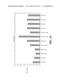 Methods for making recombinant proteins using apoptosis inhibitors diagram and image