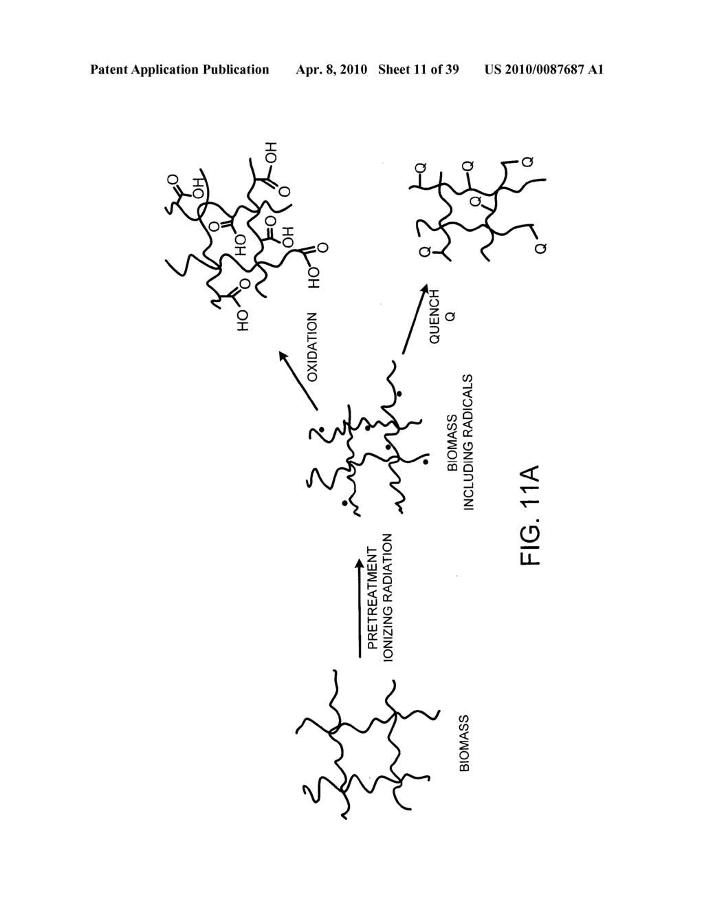 PROCESSING BIOMASS - diagram, schematic, and image 12