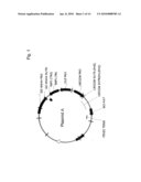 COMPOSITIONS AND METHODS FOR MODULATING EXPRESSION OF GENE PRODUCTS diagram and image