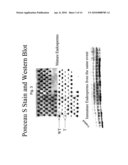 COMPOSITIONS AND METHODS FOR MODULATING EXPRESSION OF GENE PRODUCTS diagram and image