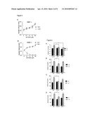 PREVENTION OF TISSUE ISCHEMIA, RELATED METHODS AND COMPOSITIONS diagram and image