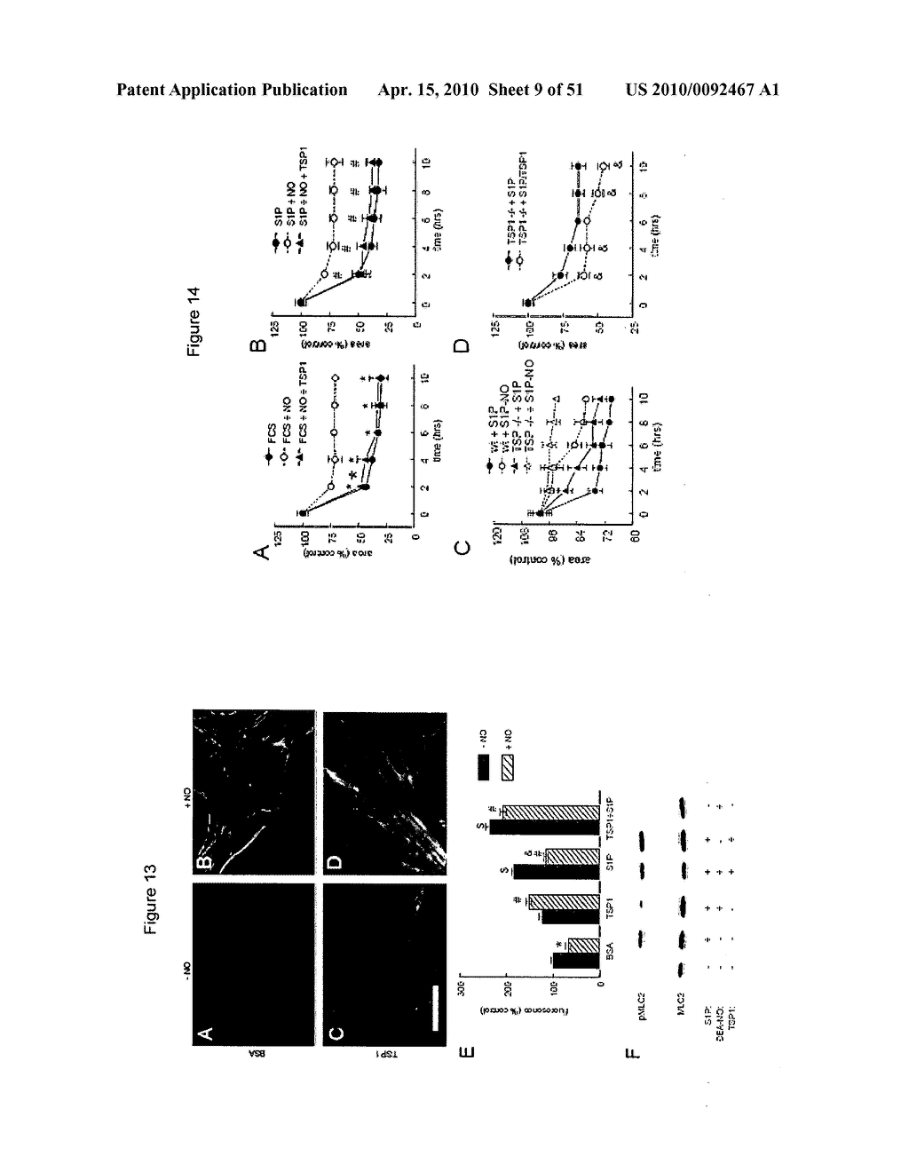 PREVENTION OF TISSUE ISCHEMIA, RELATED METHODS AND COMPOSITIONS - diagram, schematic, and image 10