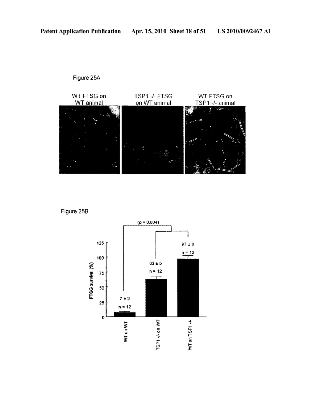 PREVENTION OF TISSUE ISCHEMIA, RELATED METHODS AND COMPOSITIONS - diagram, schematic, and image 19