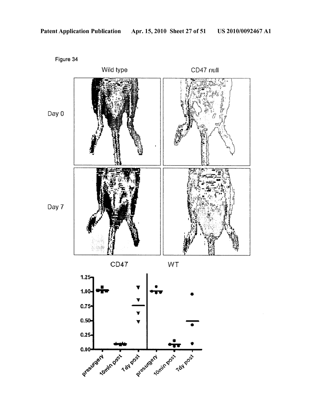 PREVENTION OF TISSUE ISCHEMIA, RELATED METHODS AND COMPOSITIONS - diagram, schematic, and image 28