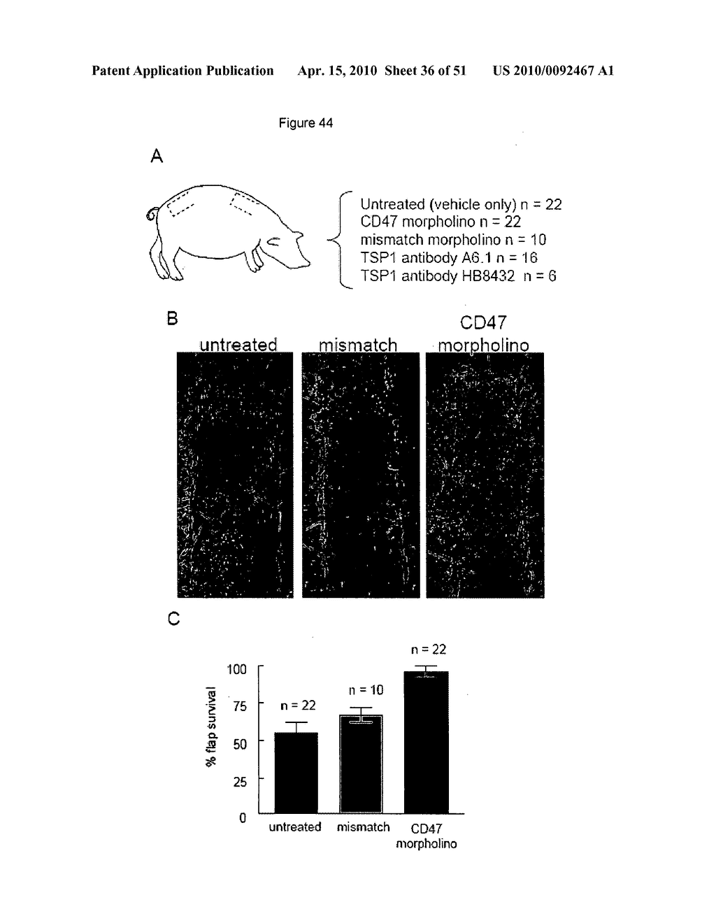 PREVENTION OF TISSUE ISCHEMIA, RELATED METHODS AND COMPOSITIONS - diagram, schematic, and image 37