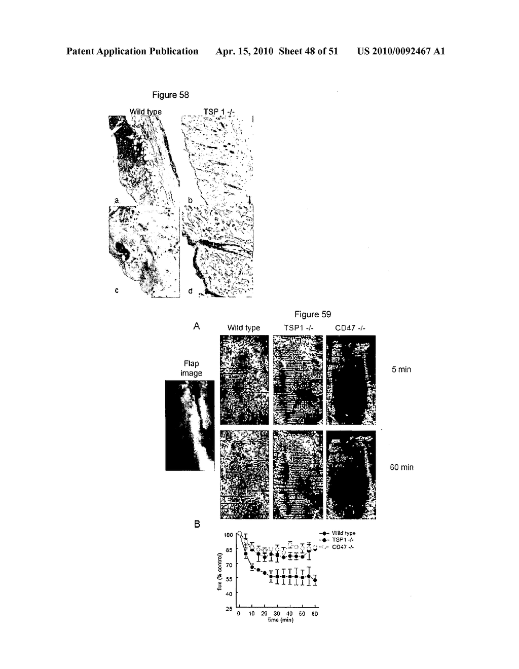 PREVENTION OF TISSUE ISCHEMIA, RELATED METHODS AND COMPOSITIONS - diagram, schematic, and image 49