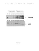 MODIFICATION OF EXOSOMAL COMPONENTS FOR USE AS A VACCINE diagram and image