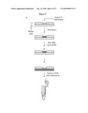 METHODS AND COMPOSITIONS FOR ISOLATING NUCLEIC ACID diagram and image