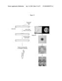 METHODS AND COMPOSITIONS FOR ISOLATING NUCLEIC ACID diagram and image