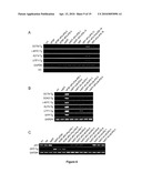 METHOD AND KIT FOR EFFICIENT REPROGRAMMING OF SOMATIC CELLS diagram and image