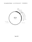 METHOD AND KIT FOR EFFICIENT REPROGRAMMING OF SOMATIC CELLS diagram and image