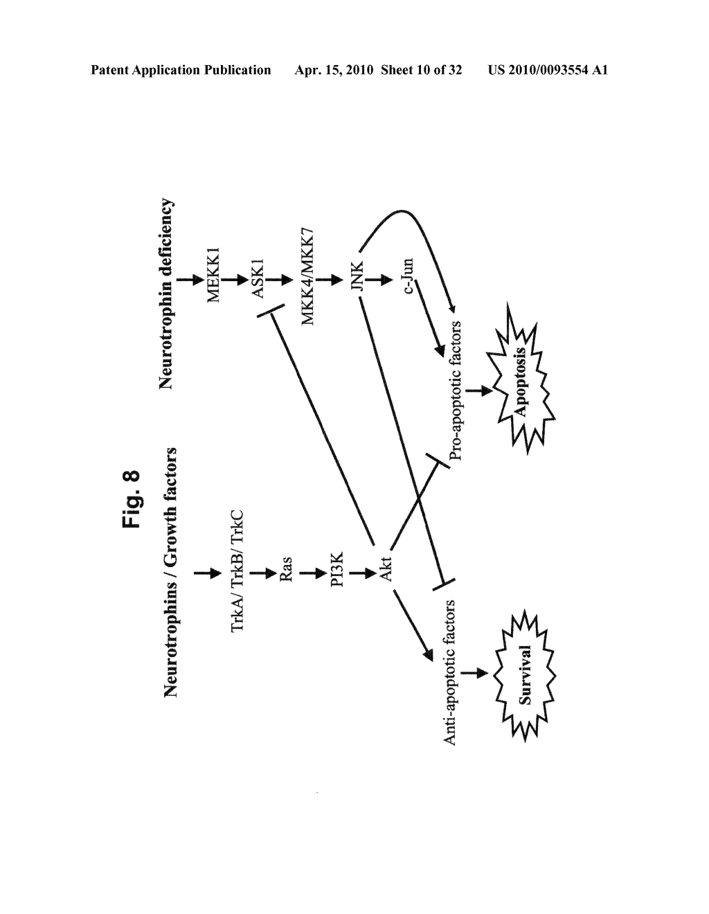 Methods for identifying biomarkers, autoantibody signatures, and stratifying subject groups using peptide arrays - diagram, schematic, and image 11