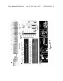 COMPOSITIONS AND METHODS TO PROTECT CELLS BY BLOCKING ENTRY OF PATHOGEN PROTEINS diagram and image