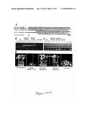 COMPOSITIONS AND METHODS TO PROTECT CELLS BY BLOCKING ENTRY OF PATHOGEN PROTEINS diagram and image